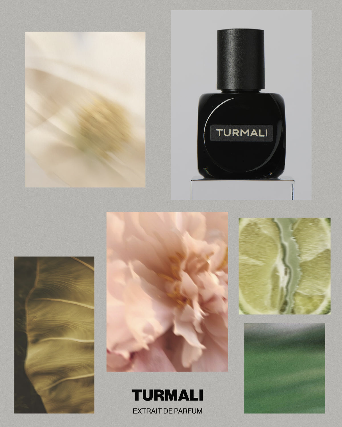Turmali